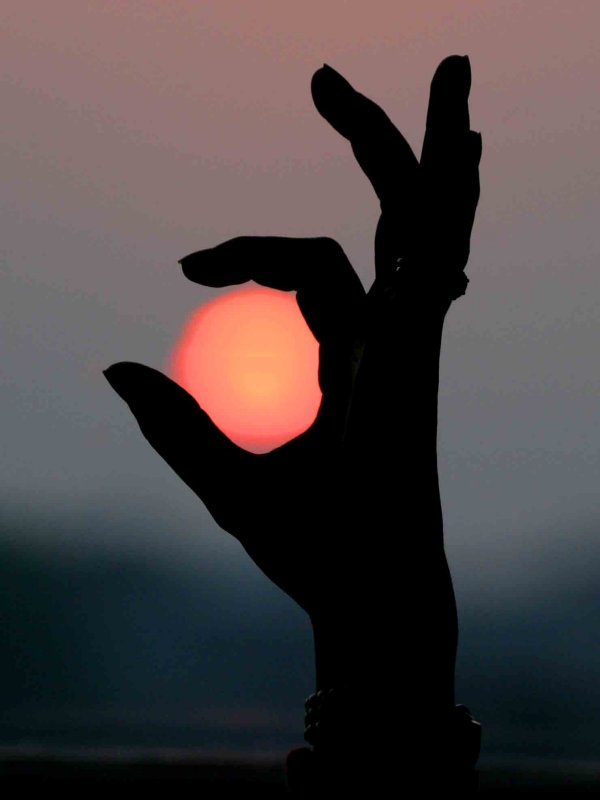 Rabbit Sun