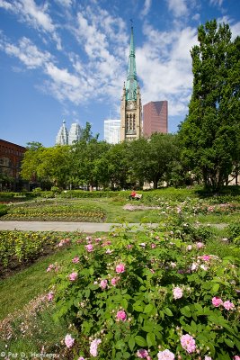 Flowers and spire