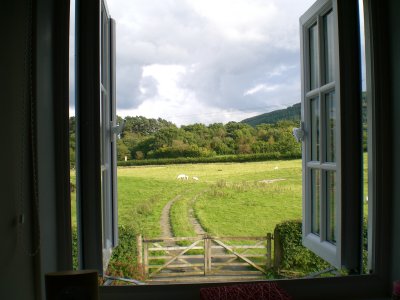 The view from the window