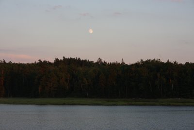 IMG_9863.JPG