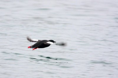 IMG_0405.JPG