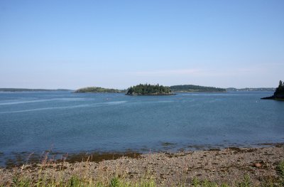 IMG_0008.JPG
