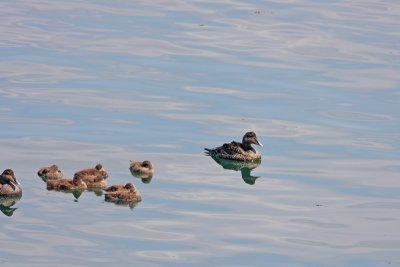 IMG_0014.JPG