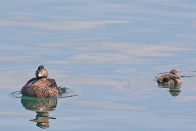 IMG_0018.JPG