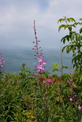 1.IMG_0088.JPG