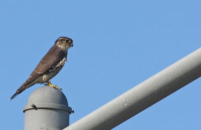 IMG_0207.jpg
