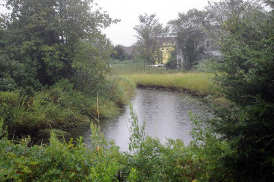 D3A_1475.jpg