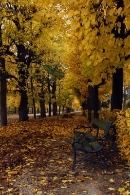Herbst 2009