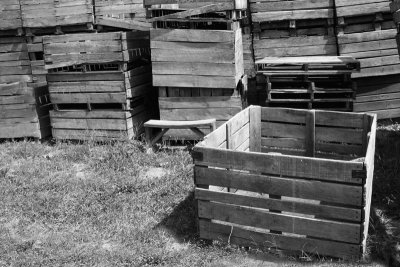 Fruit boxes at Boyds' Orchards