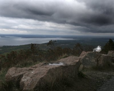 g5/31/687831/3/68334594.gIZypusT.jpg