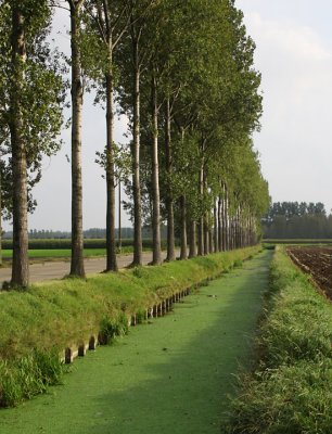 Wachtebeke