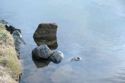 Low TIde