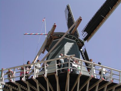 Keukenhof Windmill