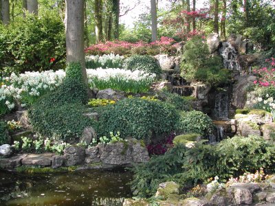 Keukenhof Beauty