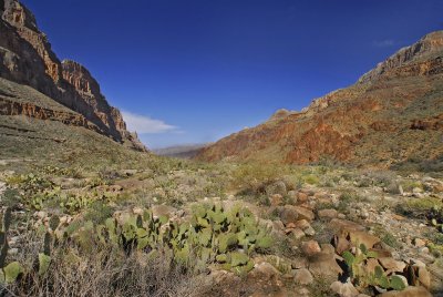 Along Diamond Creek Road