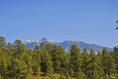 The San Fransisco Mountain Range, Near Flagstaff AZ.