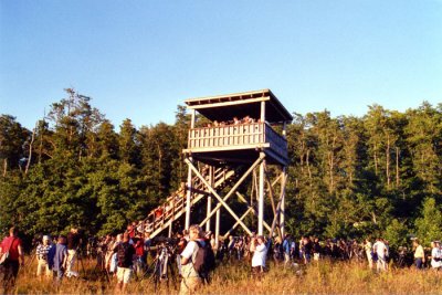 Styltsnäppa Beijershamn Öland 4.7-05 (tristaste draget nånsin p.g.a Idioter i leden )
