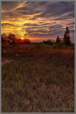 Sunset in the Marsh