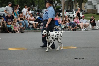 Can't Have A Fire District Parade Without A Firedog