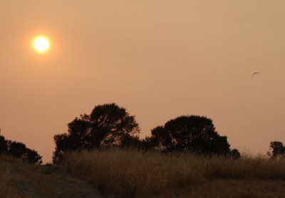 g5/31/821831/3/100193286.duQFkfbk.jpg