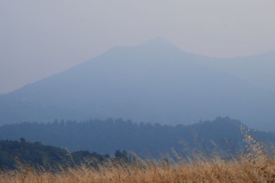 g5/31/821831/3/100193351.2jkNN3Qg.jpg