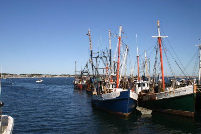 Moored Fishing Boats