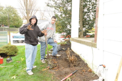 Mike and Matt Removing Rhododendron