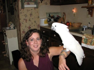 Tiffany with Erica the Cockatoo