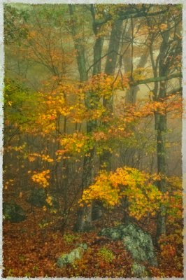 10/22/09 - Blue Ridge Mountain Autumn