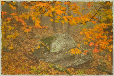 10/23/09 - Blue Ridge Autumn