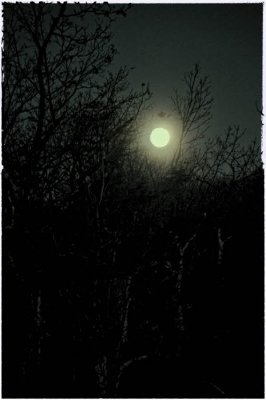 Moonset 11/03/09