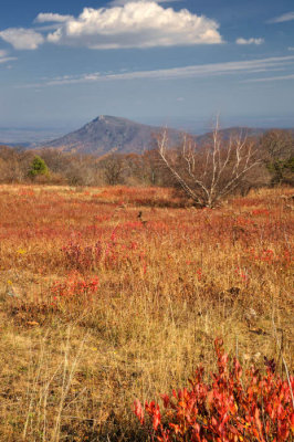 11/13/09 - Mountain Meadow