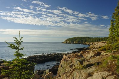 Otter Cliff Acadia '06
