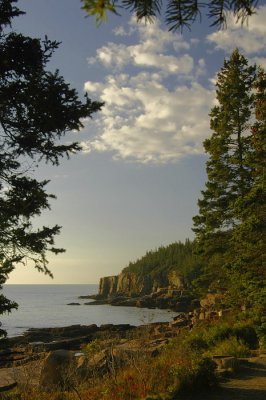 Otter Cliff Acadia '06