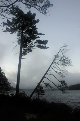 Eagle Lake Acadia '06