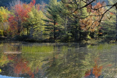 Beaver Pond Acadia '06