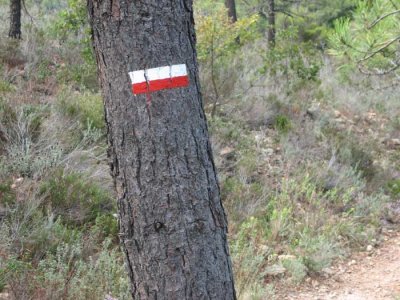 great markings on french paths