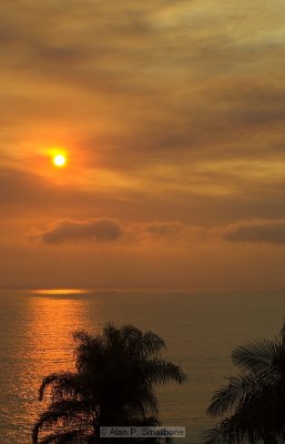_N0Z9939-01.jpg