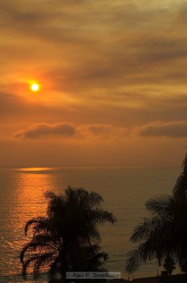 _N0Z9940-01.jpg