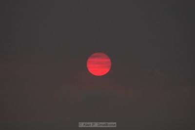_N0Z9953-01.jpg