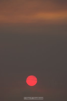 _N0Z9955-01.jpg