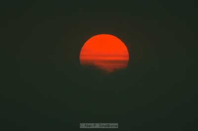 _N0Z9962-01.jpg