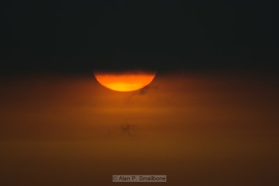 _N0Z9963-01.jpg