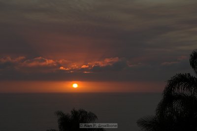 _N0Z9968-01.jpg