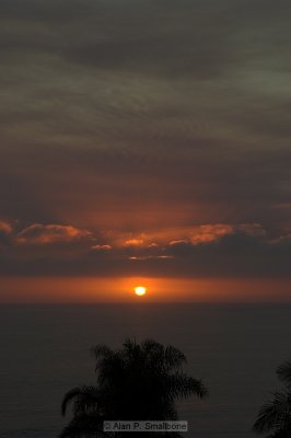 _N0Z9971-01.jpg