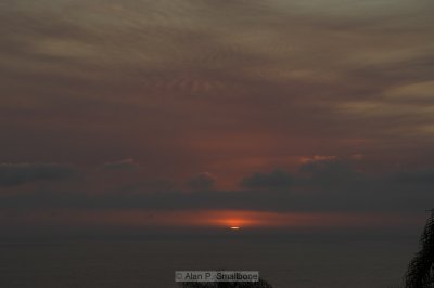 _N0Z9975-01.jpg