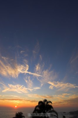 _N0Z9982-01.jpg