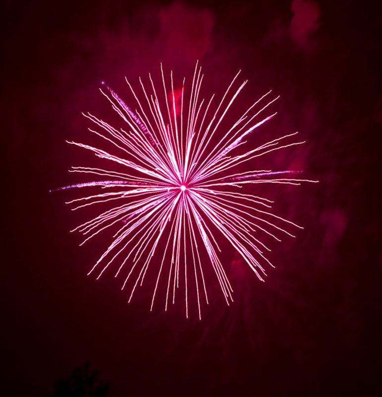 IMG_3215.jpg