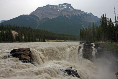 IMG_1444 Athabasca Falls.jpg