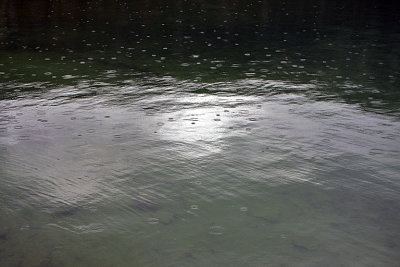 IMG_4722 Cameron Lake raindrops.jpg